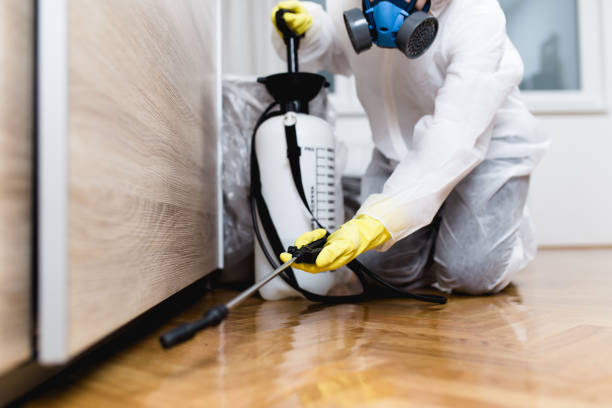 Best Mosquito Control Services  in Granvle, IL