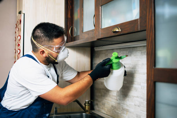 Granville, IL Pest Control Company