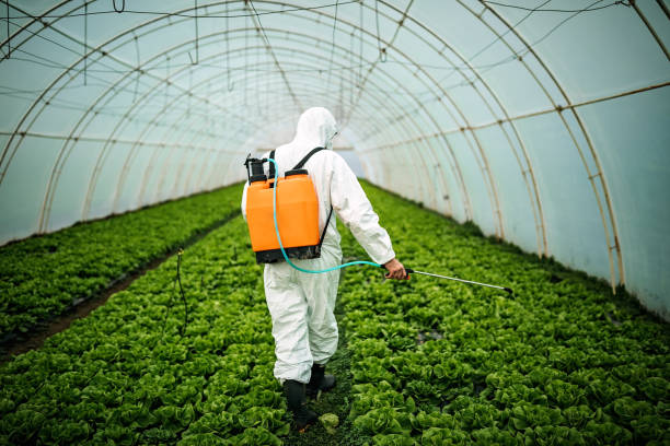 Best Best Pest Control Companies  in Granvle, IL