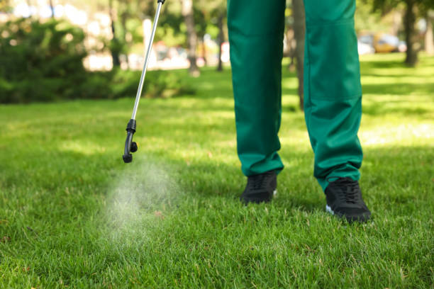 Best Wildlife Control Services  in Granvle, IL