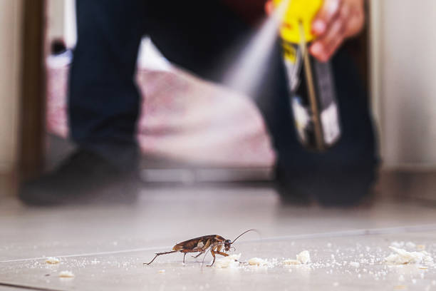 Best Commercial Pest Control Services  in Granvle, IL